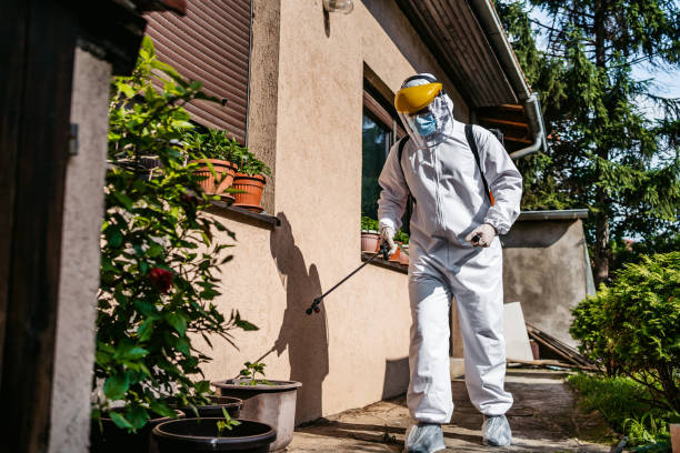 Best Affordable Pest Control Services  in Boyertown, PA