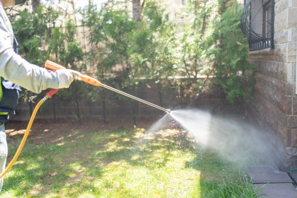 Trusted Boyertown, PA Pest Control Experts