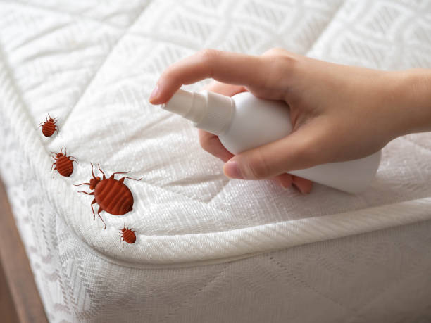 Best Mosquito Control Services  in Boyertown, PA